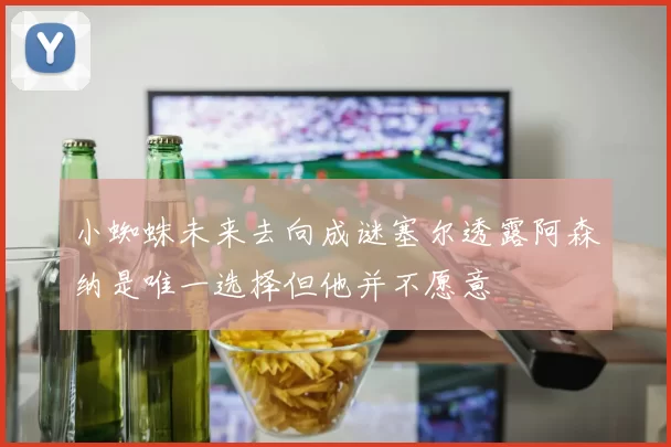 小蜘蛛未来去向成谜塞尔透露阿森纳是唯一选择但他并不愿意